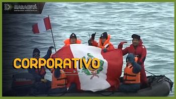 Marina de Guerra - Miembro del Consejo de la Organización Marítima Internacional