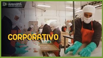 McDonald's - Conoce los ingredientes del Pollo Crujiente