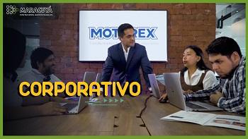 Motorex - El motor de una empresa
