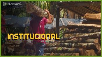 OIT - TRABAJO FORZOSO