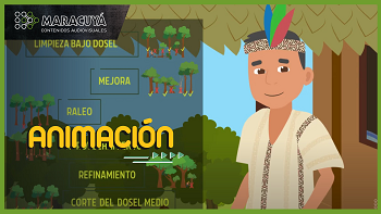 OSINFOR - ACTIVIDADES SILVICULTURALES