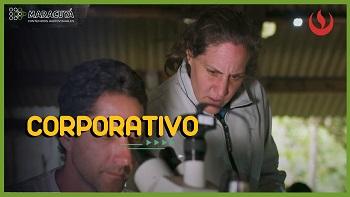 UPC - Ingeniería Ambiental