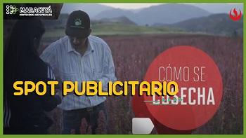 UPC - La ruta de la quinua
